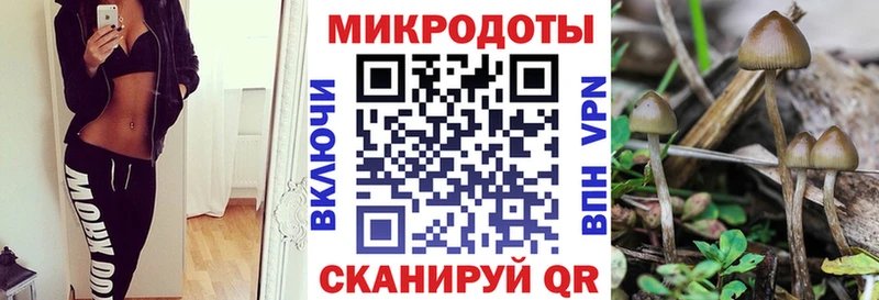 Галлюциногенные грибы GOLDEN TEACHER  Балтийск 